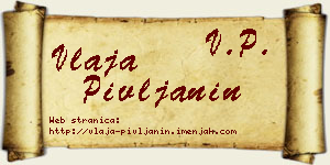Vlaja Pivljanin vizit kartica